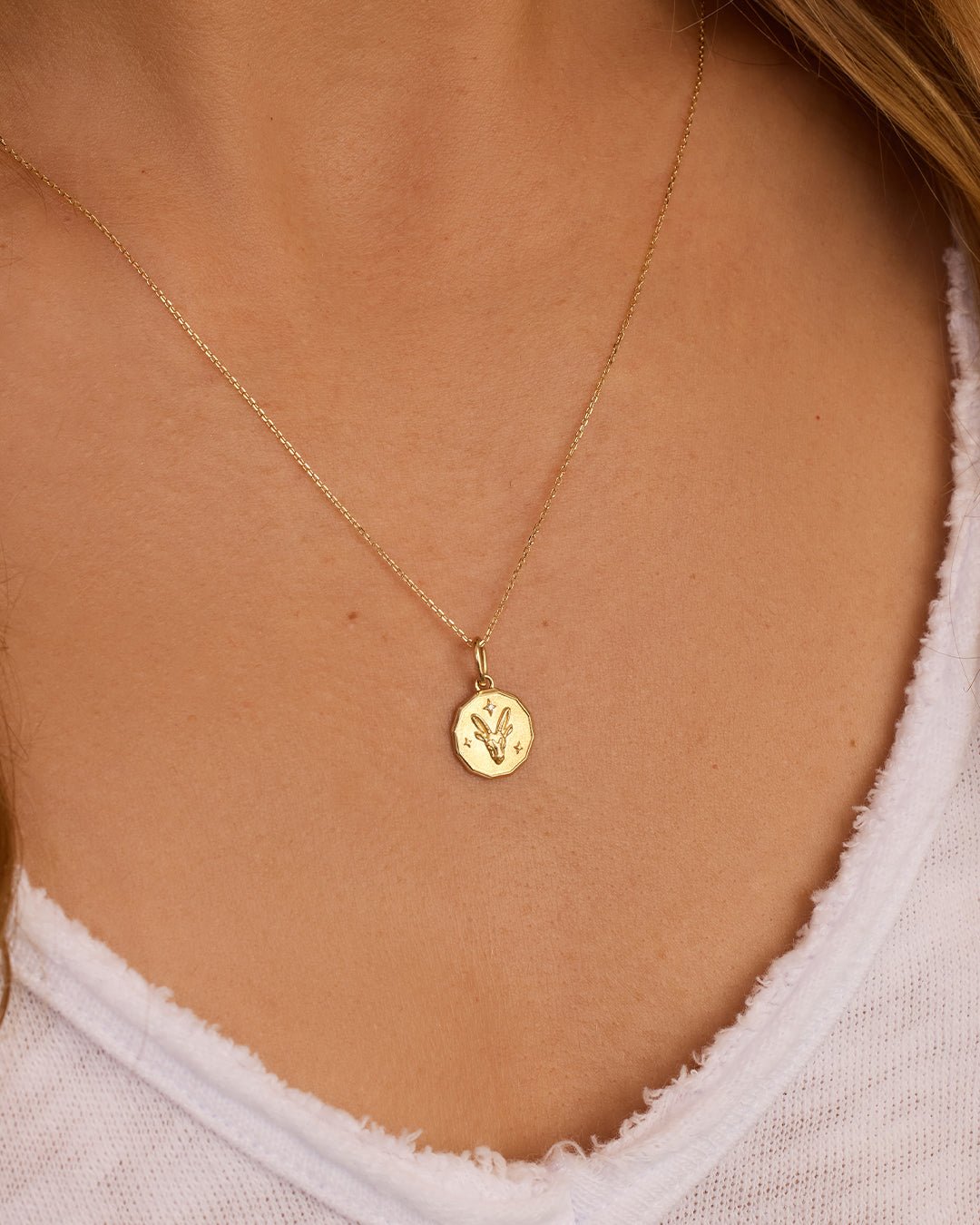 Diamond Zodiac Coin Charm || option::14k Solid Gold, Capricorn